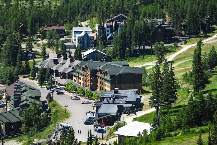 Whitefish in summer